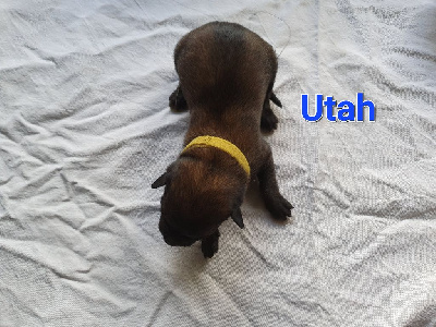 Utah